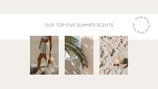 Our Top 5 Summer Scents 🏝️
