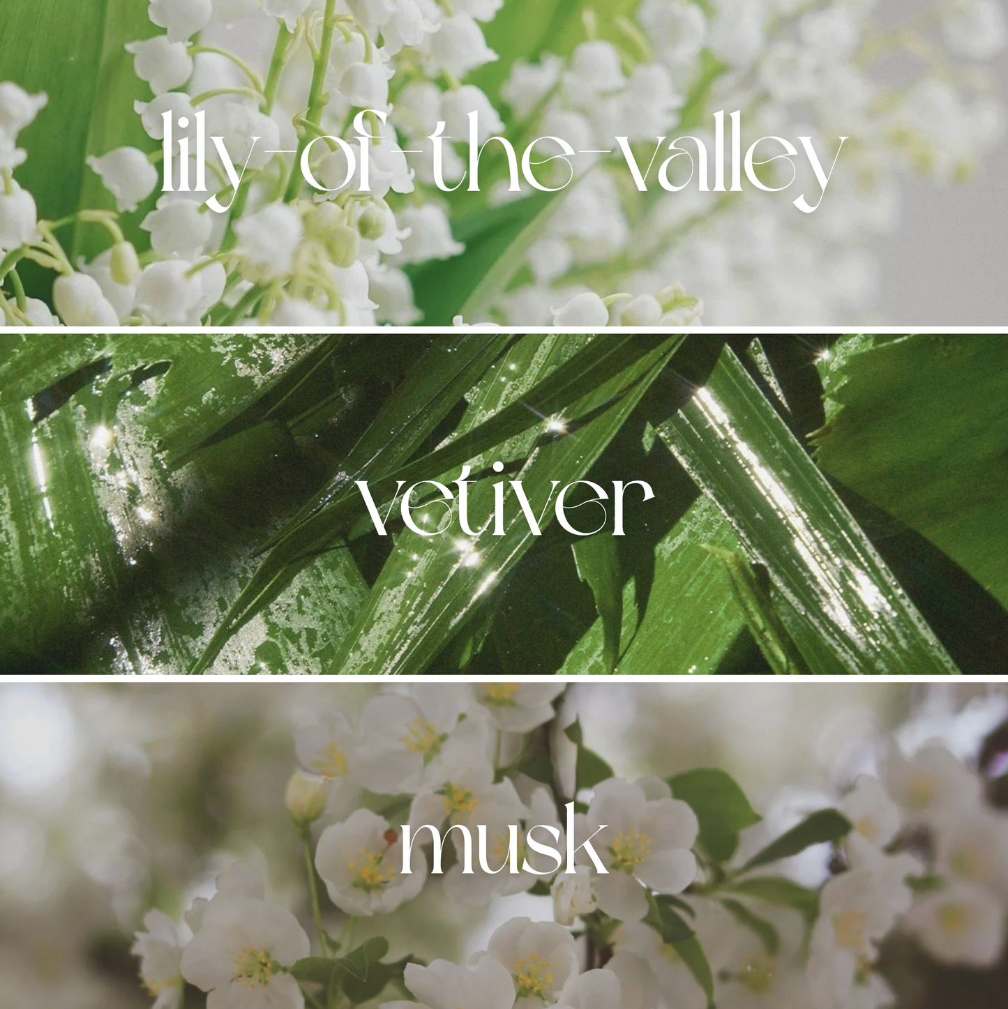 Jardin Blanc