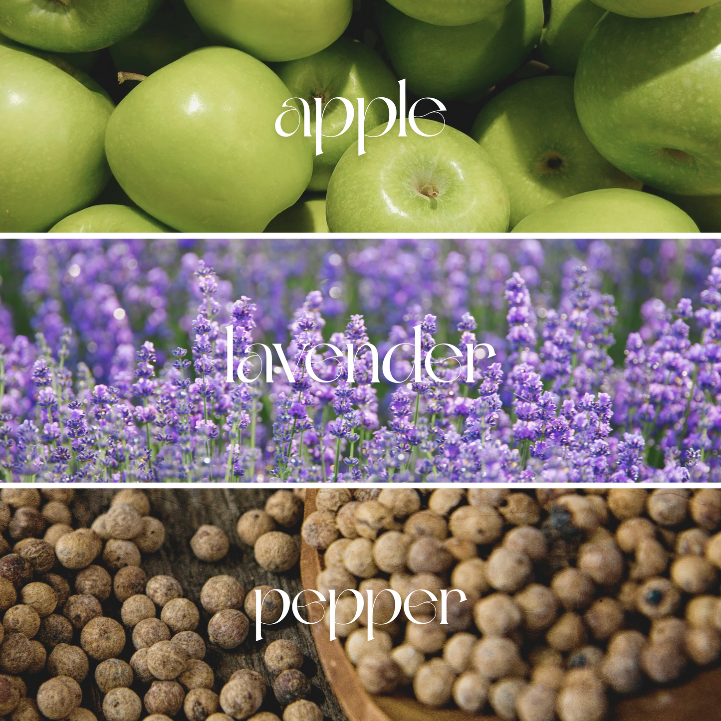 Bleu Appel