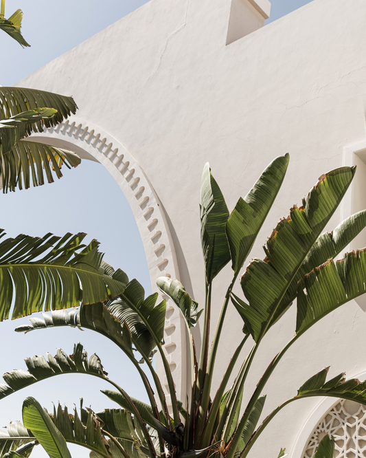 Our Top 5 Summer Scents 🏝️