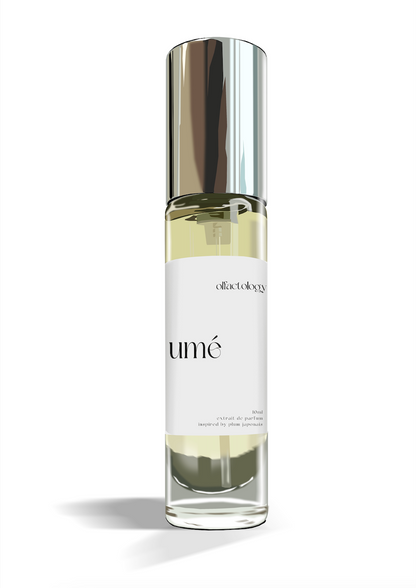 🎁 Umé (100% off)