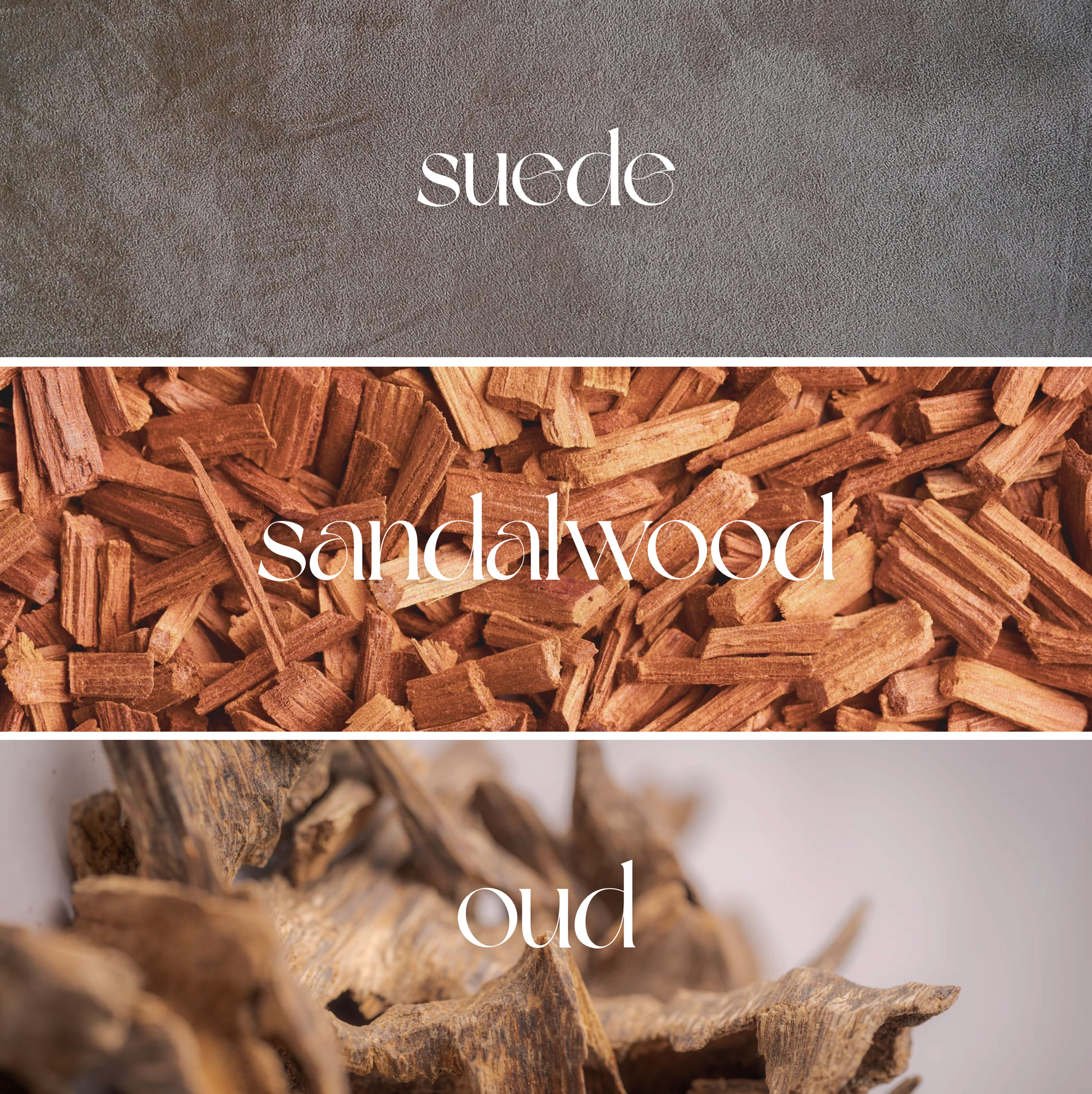 Oud Of Elegance - Olfactology 