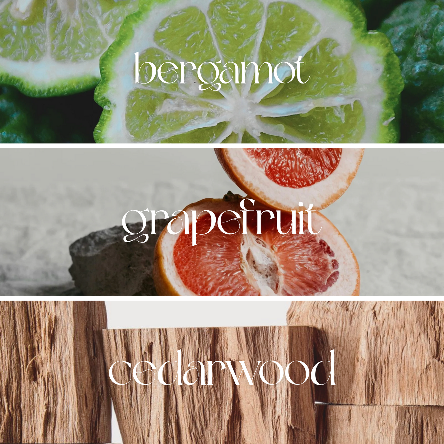Bergamot