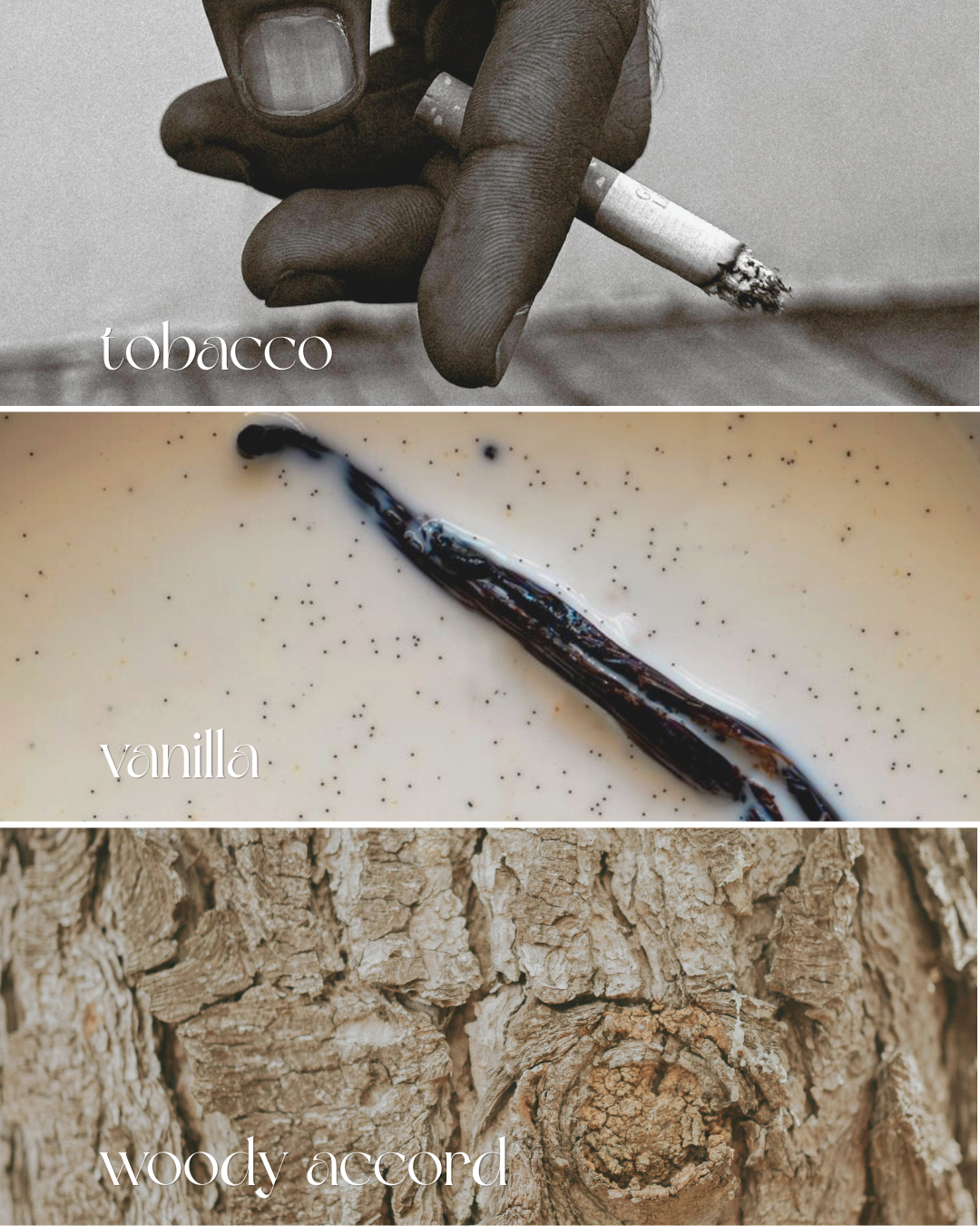Tabac Chaleur