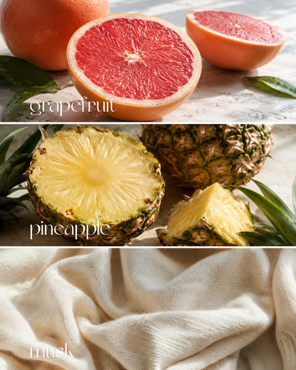Timeless Absolu